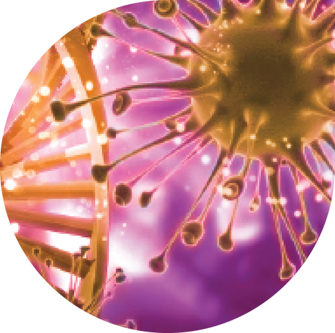 Specialty Laboratory Labels