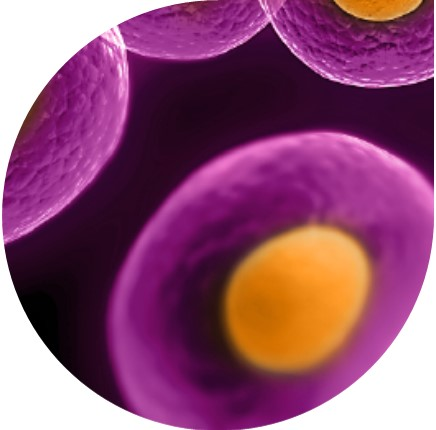 Molecular Biology Chemicals