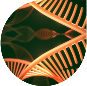 RNA