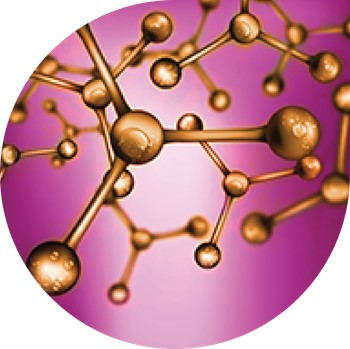 Cross-Linking and Modification