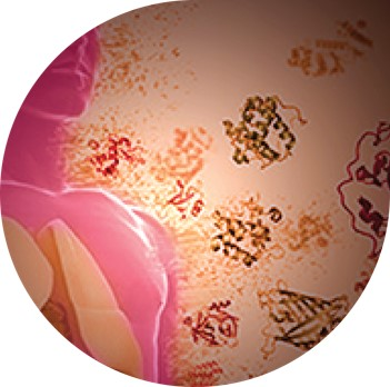 Enzymes