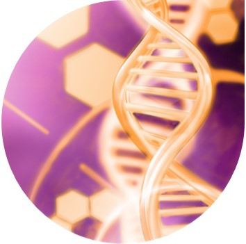Next-Gen Sequencing