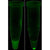 Quantitative Precipitin Assay