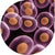 E. cloni-10G CLASSIC Electrocompetent Cells (SixPacks)