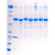 Conservation of Genetic Information