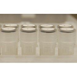 PCR Grade water, 1.5ml tube x 100 DWW1.5-96
