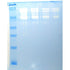 Zymogram: Study of an Active Enzyme with Electrophoresis