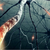 FailSafe-PCR 2X PreMix J, 2.5 mL