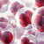 Ampligase-DNA Ligase with Buffer, 2,500 U @ 5 U/uL