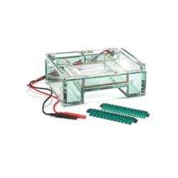 OWL Scientific B2 (12x14cm) Mini Gel System w/1.0 mm thick combs B2-G-100