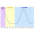 Ion Exchange Chromatography