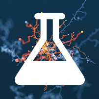 Rapamycin