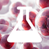 Bleomycin Sulfate