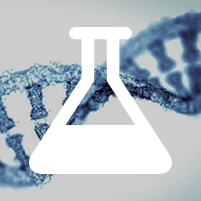 SR9243, LXR INVERSE AGONIST