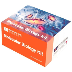 One-Tube Swab DNA Extraction Kit - 500 Preps