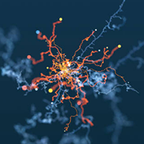 Stabilizing Reagent 2