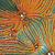 10,000 µmhos/cm Conductivity at 25°C