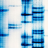 Taq Plus DNA Polymerase, 5u/ul - 200U