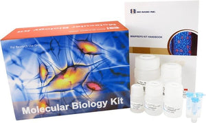 EZ-10 Spin Column DNA Gel Extraction Kit - 50 preps