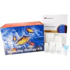 One-4-All Genomic DNA Miniprep Kit - 100 preps